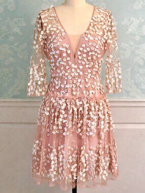 💋 BCBG Blush Embroidered Dress | Sheer Overlay | Ultra Feminine Spring Dress